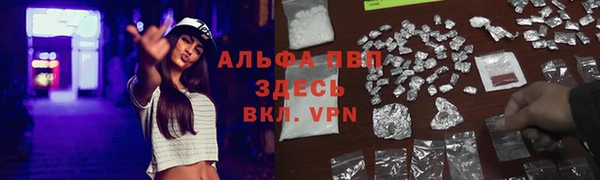 молекула духа Ростов